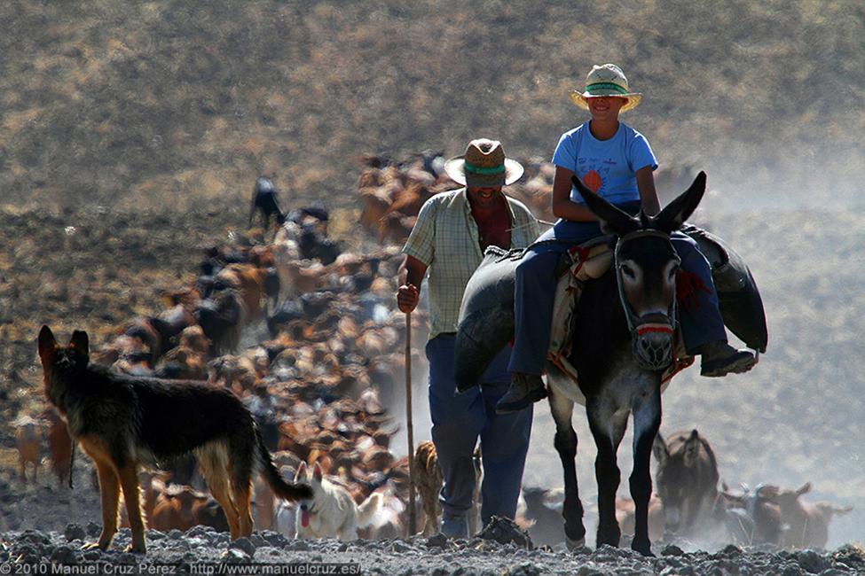 Imagen 3 de la galería de 